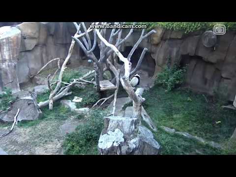 2017.05.20 MOM BAI WALKING ON SATURDAY MORNING