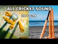20 Sound For Editing | Cricket Bat sound effect | Cricket wicket sound|
