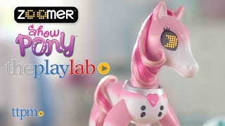 Zoomer Show Pony from Spin Master