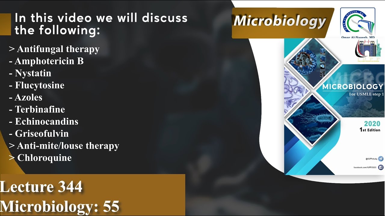 Antifungal therapy | Amphotericin B | Azoles | Terbinafine | Echinocandins | Chloroquine