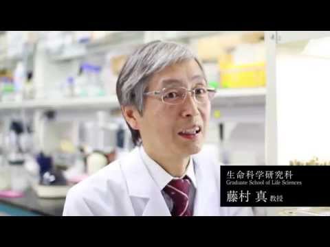 東洋大学大学院 生命科学研究科紹介動画