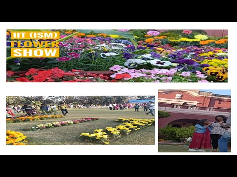 Flower Show || Basant || Srijan 2k24 || IIT (ISM) Amazing/Mesmerizing/Soulful views.