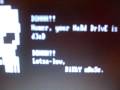 Executioner DOS Virus