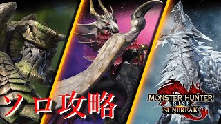 【モンハンサンブレイク】ソロ攻略！王域三公ぶっ飛ばす！【MHSB】【モンハンライズ：サンブレイク】