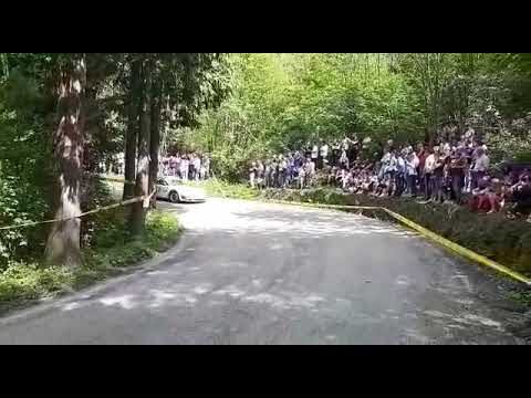 Rally degli abeti 2019