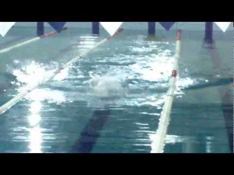 Tuffo-Stile Libero e nuoto a Farfalla