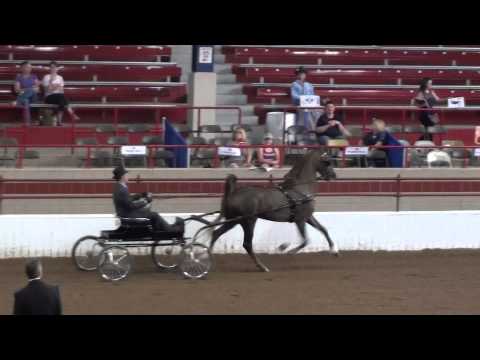 Forever Marilyn MHF-2015