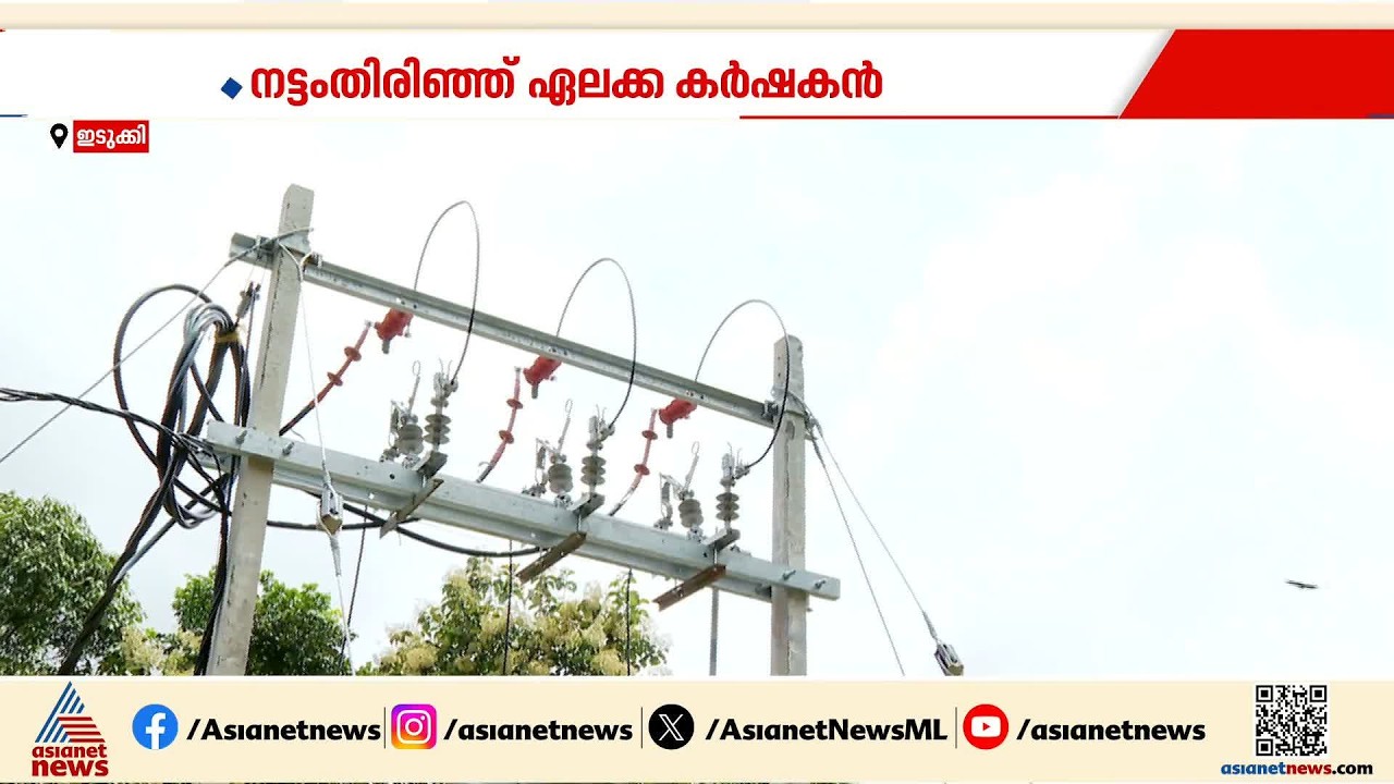 ഇലക്ട്രിക് ഡ്രയറുകൾ സഥാപിക്കുന്നതിൽ കെഎസ്ഇബി അനാവശ്യമായി കാലതാമസം വരുത്തുന്നു; വലഞ്ഞ് ഏലക്ക കർഷകർ | KSEB is unnecessarily delaying the installation of electric dryers; Cardamom farmers are in trouble