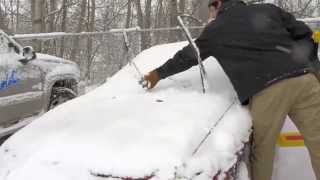 Laitner ProEdge Snow Rake