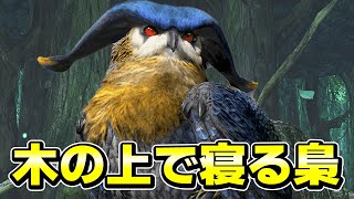 『ホロロホルル』とかいう木の上で寝る奴　part11 【モンスターハンターダブルクロス実況】　のりおもちXX編　～三度目の人生～