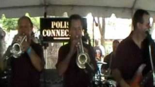 07 Polish Connection Tribute to Eddie B Sr Polka Medley (Really Good)
