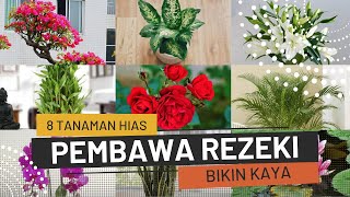 Download lagu 8 Ornamental Plants That Bring Good Fortune & Luck mp3