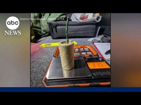 Man charged with allegedly bringing explosive device to airport