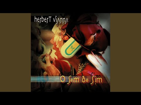 Mr.Scarecrow - Herbert Vianna
