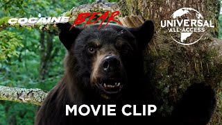 Cocaine Side Effects For Bears? Clip