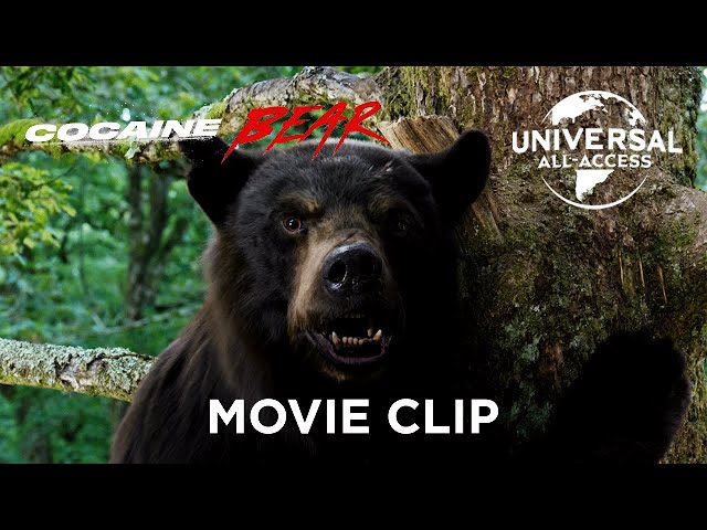 Cocaine Side Effects For Bears? Clip