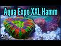 Besser Als In Dortmund Aqua Expo XXL Hamm AquaOwner