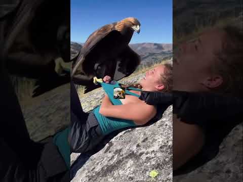 Fictional Stunt | AI Concept: Terrifying Reminder of Bird of Prey Danger! #Shorts #EagleSafety #VFX