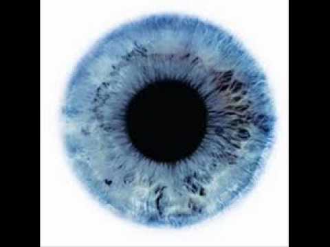 Maziol - Viva el vida