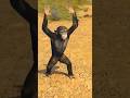 Monkey Doesn’t Wear Any Pants 🙊 #dance