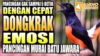 Download lagu PAGI HARI DONGKRAK EM0SI || PANCINGAN MURAI BATU TERBAIK || murai batu mp3 Download lagu PAGI HARI DONGKRAK EM0SI || PANCINGAN MURAI BATU TERBAIK || murai batu mp3