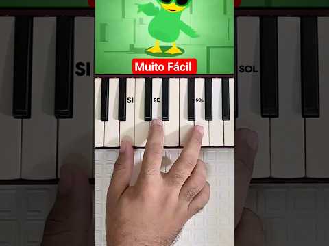 Funk do Patinho #tutorial #bentoetoto  #escaleta