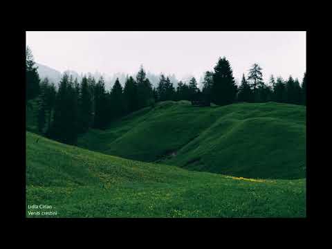 Lidia Cirlan - Veniti crestini