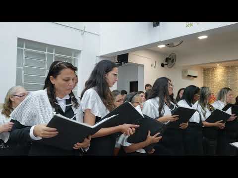 Por onde me Conduzir