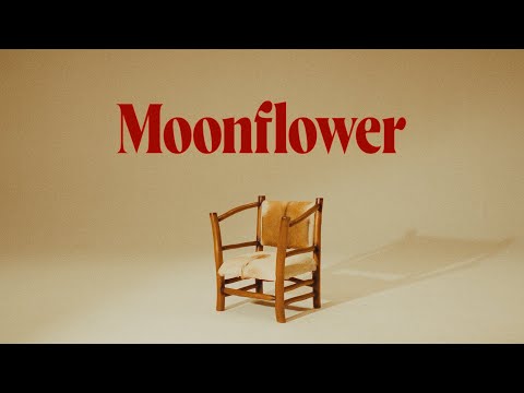 recess - Moonflower (Official Music Video)