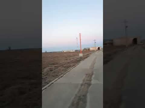 Ferma Nenciulesti Mavrodin