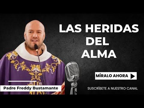 The Wounds of the Soul - Father Freddy Bustamante