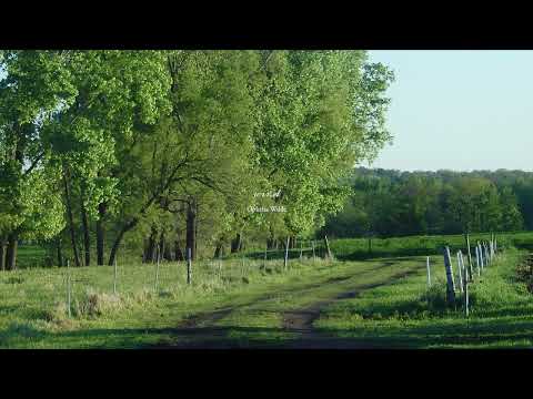 a comfort playlist for quiet days