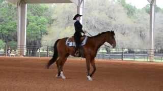 Michaela- Team Open Horsemanship- IHSA Western Semi-Finals 2015