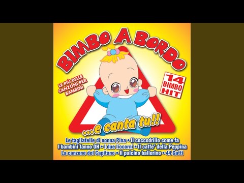 Il pulcino ballerino