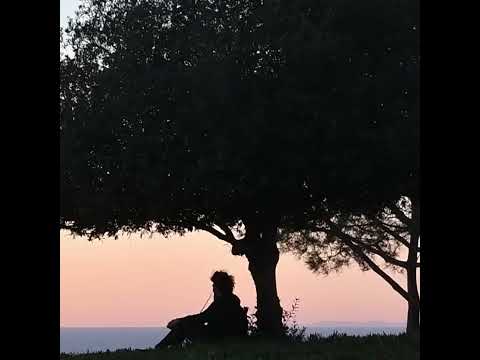 ze66y x lames - telephone