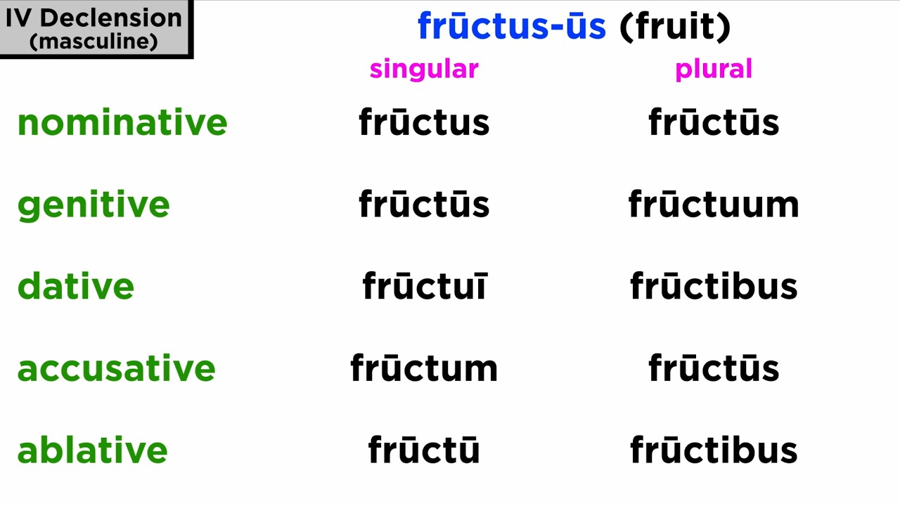 Fourth Declension Nouns in Latin Part 1: Masculine and Feminine Nouns
