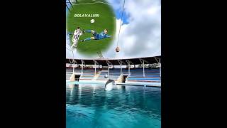 Download lagu Ronaldo and the dolphin 🤝 🐬 mp3 Download lagu Ronaldo and the dolphin 🤝 🐬 mp3