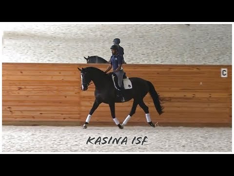 Kasina ISF at Iron Spring Farm