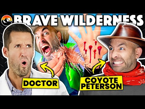 ER Doctor & Coyote Peterson REACT to DEADLIEST Stings From Brave Wilderness