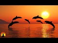 🔴 Relaxing Music 24/7, Meditation Music, Zen, Yoga, Stress Relief Music, Sleep Music, Calming Music 🔴 Relaxing Music 24/7, Meditation Music, Zen, Yoga, Stress Relief Music, Sleep Music, Calming Music