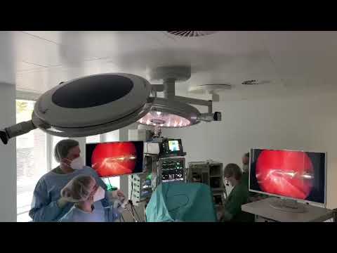 Tierklinik Düsseldorf OP