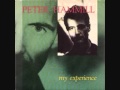 Peter Hammill&The K-Group "My Experience"&"Modern" Berlin Kantkino 27/09/1981 (3)