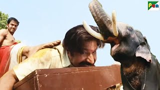 वफादार हाथी ने लिया मालिक के मौत का खूंखार बदला - Prithviraj Sukumaran - Ghulami Ki Zanjeer
