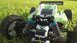 Buggy Storm