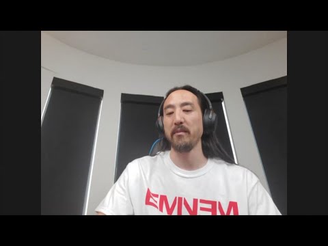 Steve Aoki launches online bootcamp