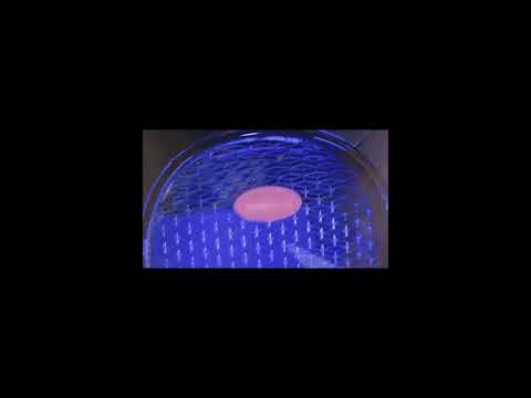 TFL Smoke - Pop Smoke 2 [prod. exelons beats] (poprawiony dźwięk)