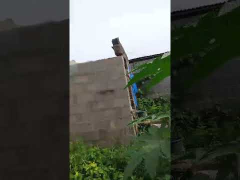 FACE-ME-I-FACE-YOU BUNGALOW ON HALF PLOT – CELE EGBE, ISOLO/IKOTUN EXPRESS ROAD