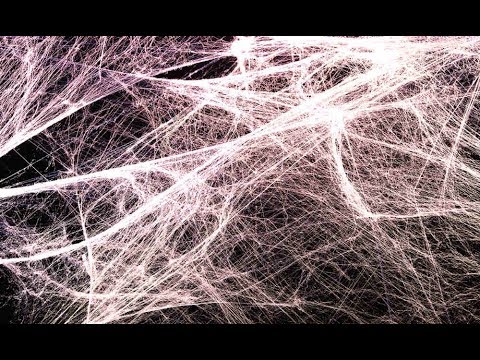 Faszien - Geheimnisvolle Welt unter der Haut