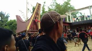 preview picture of video 'Tradisi Suku Toraja Mengusung Jenaza Keliling Kampung'