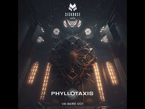 alg0rh1tm - Collective Ignorance